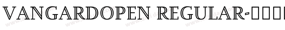 VangardOpen Regular字体转换